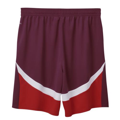 Preview: Switzerland Children EC Shorts red - 2024-25